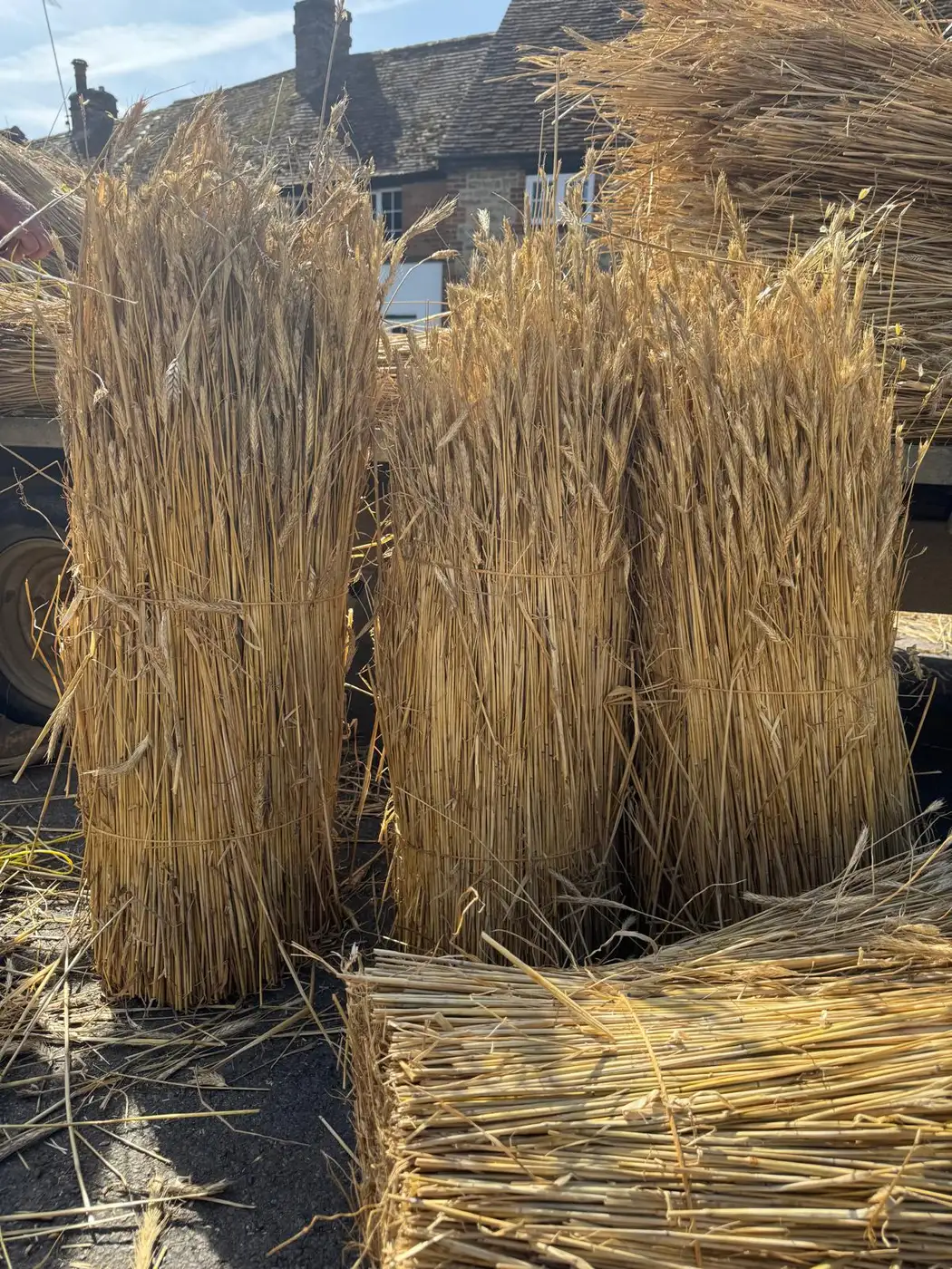Bundles of wheat straw, waiting to go up